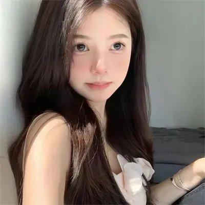 百合熊风暴