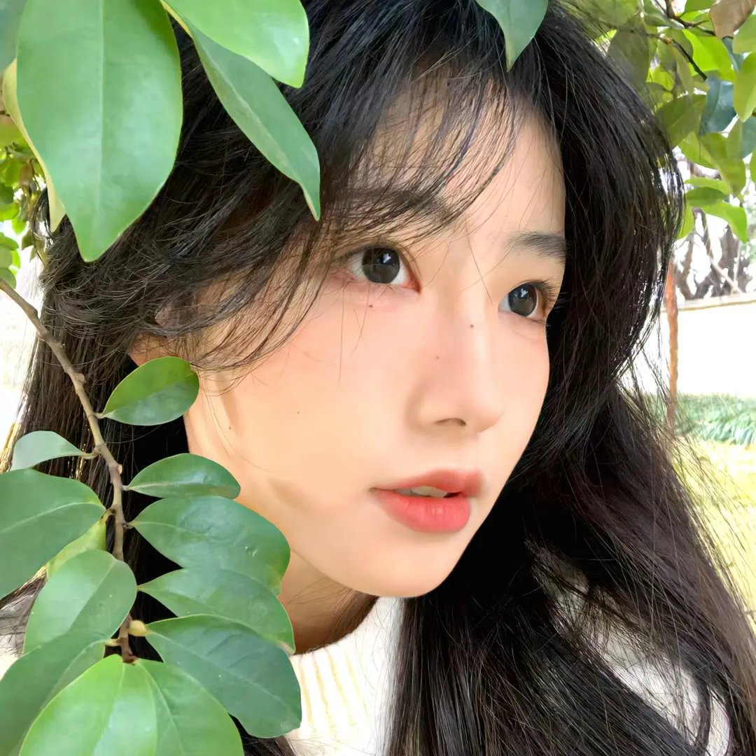 花开与你的半夏